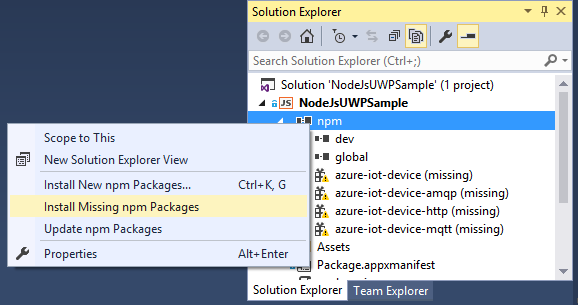 VisualStudio\Install\MissingNpmPackages